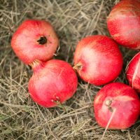 PomegranatePeelPowder_Product03