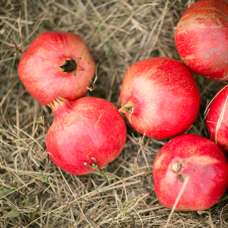 PomegranatePeelPowder_Product03