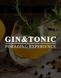 GinTonicLogo_Ganico